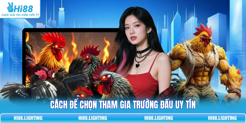 Cách để chọn tham gia trường đấu uy tín 