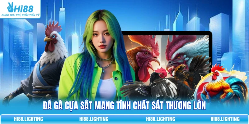 Đá gà cựa sắt mang tính chất sát thương lớn