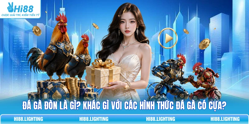 Đá Gà Đòn Là Gì? So Sánh Chi Tiết Với Đá Gà Có Cựa 2026